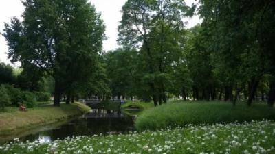 Из-за непогоды в Петербурге закрывают парки и скверы