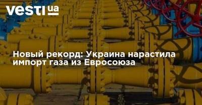 Новый рекорд: Украина нарастила импорт газа из Евросоюза