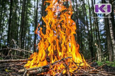 Высокая пожароопасность ожидается еще в четырех районах Коми - komiinform.ru - респ. Коми - район Троицко-Печорский - Сысольск