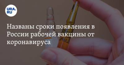 Названы сроки появления в России рабочей вакцины от коронавируса