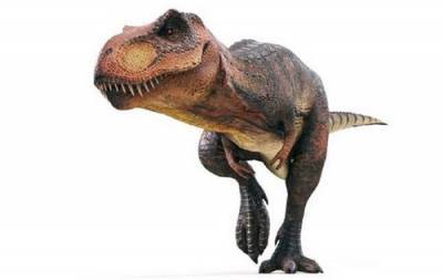 На Мадагаскаре обнаружен крохотный предок динозавров