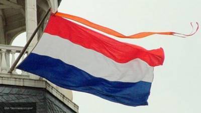 Нидерланды стали спонсором антироссийской пропаганды в петербургском институте