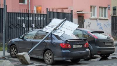 Двое петербуржцев получили травмы из-за сильнейшего ветра