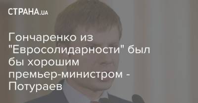 Гончаренко из "Евросолидарности" был бы хорошим премьер-министром - Потураев