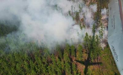Небывалая жара и лесные пожары: Сибирь задыхается (Le Monde, Франция)