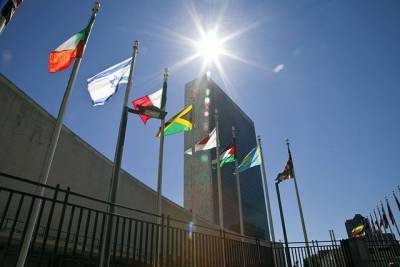 СБ ООН продлил работу одного КПП для доставки гумпомощи в Сирию