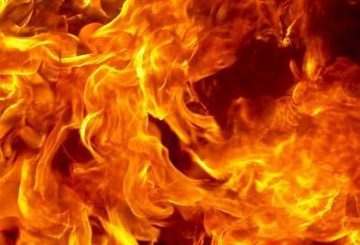 В пожаре на Парнасной улице погиб мужчина