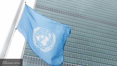 СБ ООН одобрил документ по продлению трансграничного механизма помощи Сирии