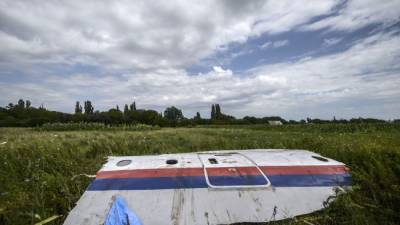 NYT: Правительство Нидерландов заставит заплатить Россию за MH17