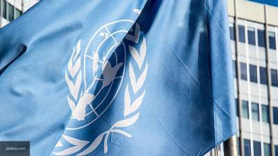 СБ ООН поддержал продление трансграничного механизма помощи Сирии