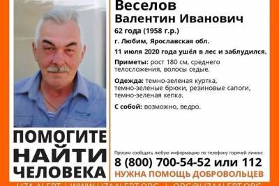 В Ярославской области ищут 62-летнего грибника