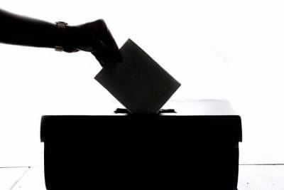 В Печорах стартовали досрочные выборы главы района