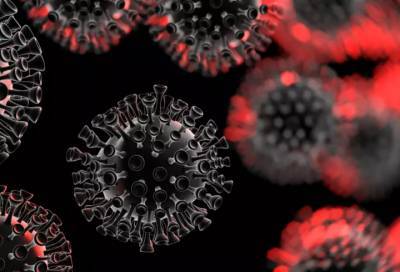 Эксперты определили степень заразности коронавируса