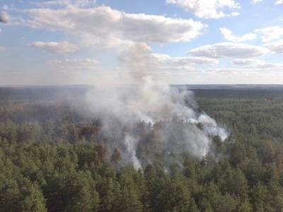 Спасатели продолжают тушить отдельные очаги пожара в Луганской области