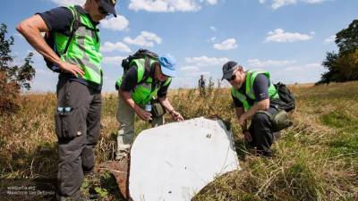 Антипов развенчал очередной фейк по делу о крушении самолета MH17