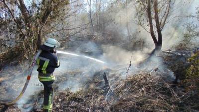 Пожары в Луганской области: в двух лесничествах тушат очаги тления