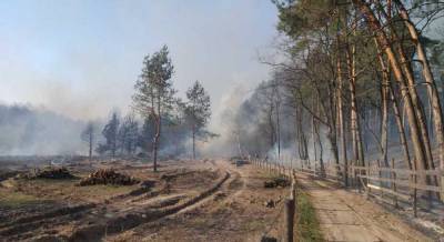В лесах Луганской области продолжается тление – ГСЧС