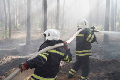 Пожары на Луганщине: оперативная информация касательно чрезвычайной ситуации в области