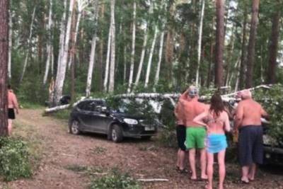 Повалены деревья, перевернуты яхты: по Челябинской области пронесся мощный ураган