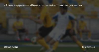 «Александрия» — «Динамо»: онлайн-трансляция матча