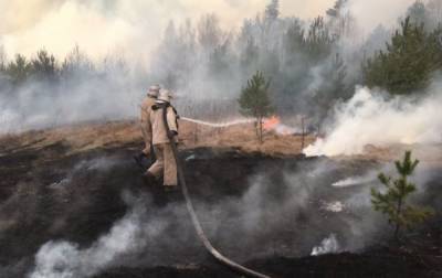 В Николаевской области за сутки произошло 8 пожаров в экосистемах