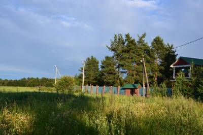 В деревне Ольховка в Ленобласти создадут природный парк