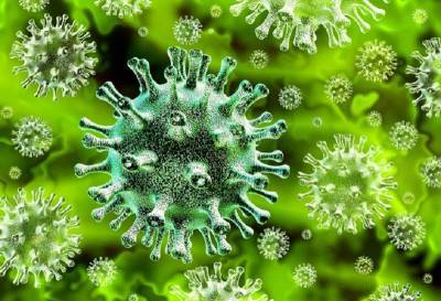 В Смоленской области число смолян одолевших коронавирус приближается к цифре в 3000 человек