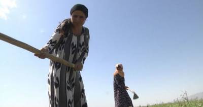400 сомони на семью. Власти Таджикистана помогут уязвимым слоям населения