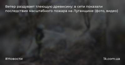 Ветер раздувает тлеющую древесину: в сети показали последствия масштабного пожара на Луганщине (фото, видео)