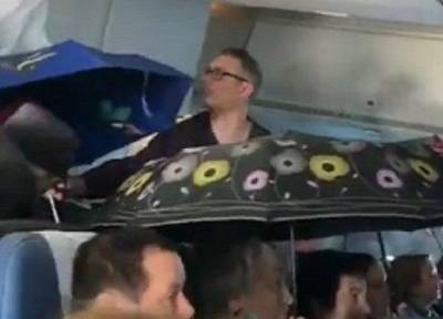 Капало с потолка: из-за дождя в самолете пассажирам пришлось лететь в Сочи с зонтами