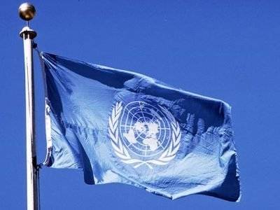 Совбез ООН принял резолюцию о продлении трансграничного механизма помощи Сирии