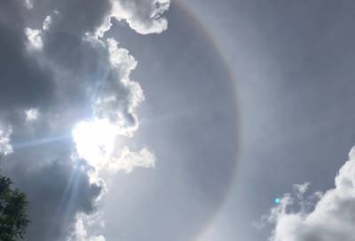 Фото: солнечное гало заметили в небе над Ленобластью