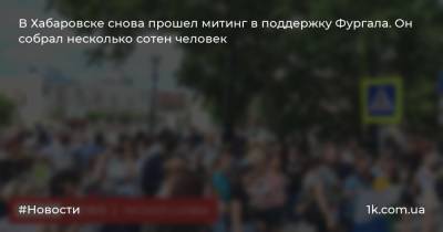 В Хабаровске снова прошел митинг в поддержку Фургала. Он собрал несколько сотен человек