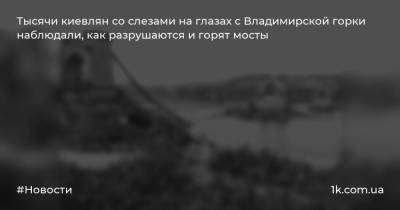 Тысячи киевлян со слезами на глазах с Владимирской горки наблюдали, как разрушаются и горят мосты