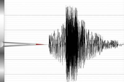 В Грузии произошло землетрясение магнитудой 4,4