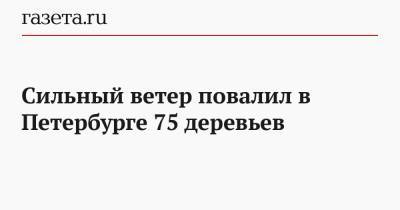 Сильный ветер повалил в Петербурге 75 деревьев