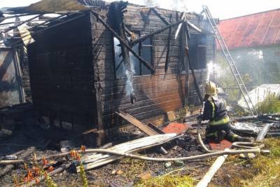На пожаре в СНТ в Струнино пострадал мужчина