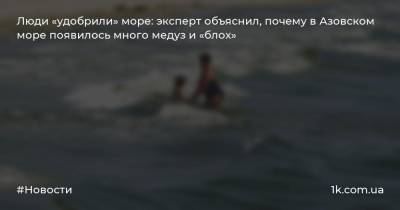 Люди «удобрили» море: эксперт объяснил, почему в Азовском море появилось много медуз и «блох»
