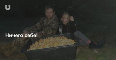 «Чистили до трех ночи». Семья из Светлогорска за 3,5 часа собрала 22 килограмма лисичек