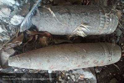 Два снаряда времен ВОВ нашли в лесу Московской области