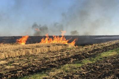 В Херсонской области спасателям за сутки пришлось 18 раз ликвидировать возгорания сухой травы