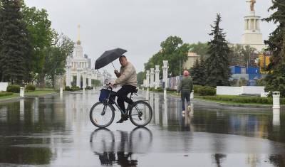 Синоптики предупредили москвичей о резком похолодании