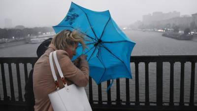 Сильный ветер, гроза и град ожидаются в Москве в ближайший час