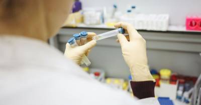В России завершили клинические испытания на добровольцах вакцины от коронавируса - росСМИ