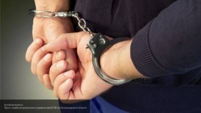 Подозреваемый в убийстве москвича задержан сотрудниками следствия в Подмосковье