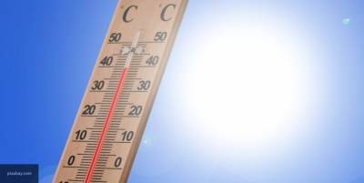 Аномальная жара ожидается в Свердловской области на следующей неделе
