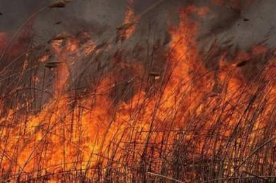 Спасатели потушили 8 пожаров, площадью 3,3 гектаров