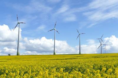 В Украине собираются построить самую большую в Европе ветряную электростанцию