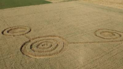 На пшеничном поле в Воронеже появились "инопланетные" круги