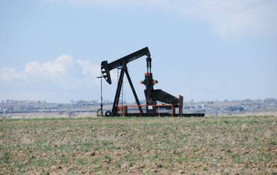 Страны ОПЕК+ планируют увеличить объемы добычи нефти, - Bloomberg